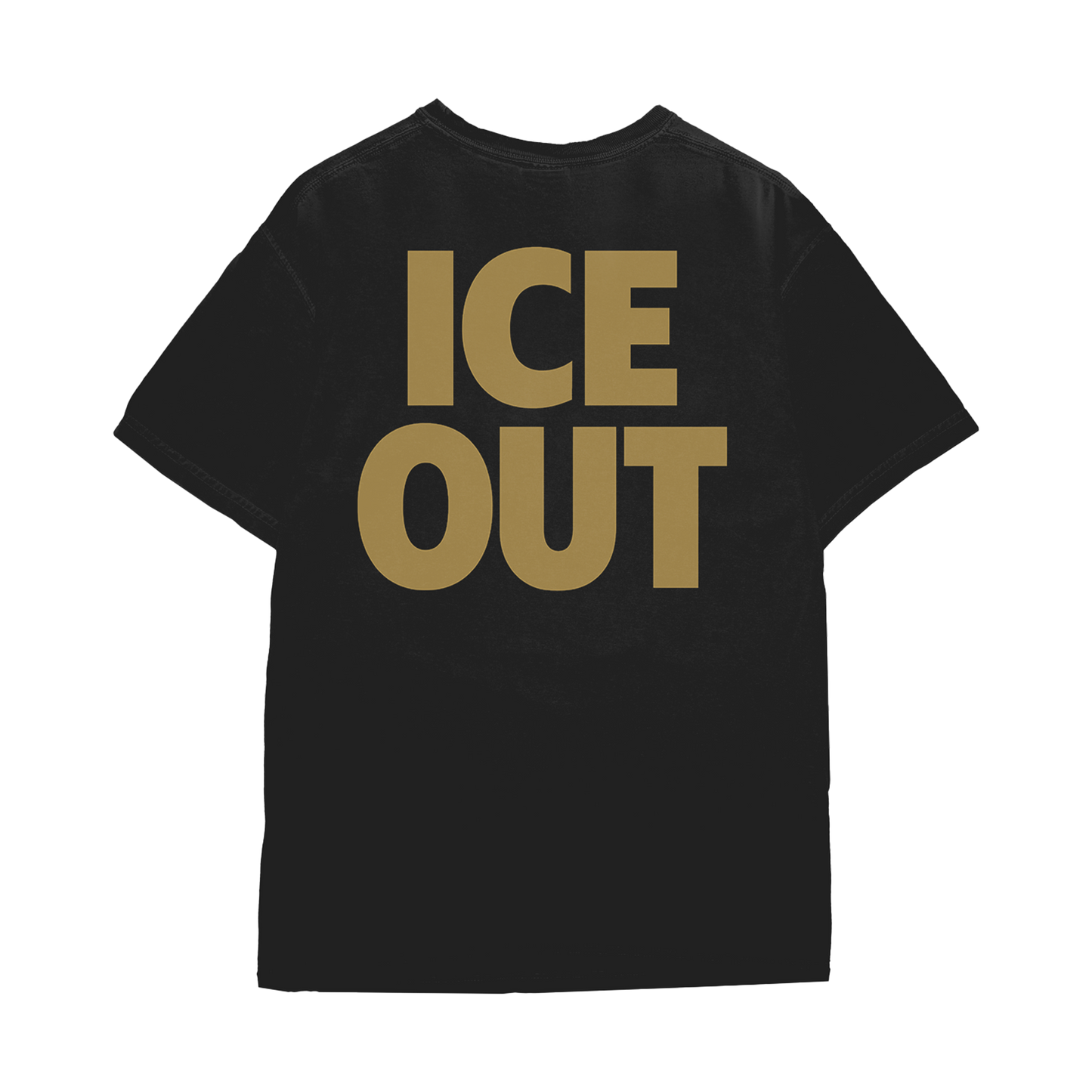 Ash & Ice 10th Anniversary T-Shirt